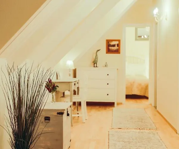 Baber Vendeghaz טיהאני