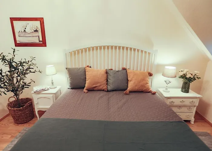 Baber Vendeghaz בית נופש טיהאני